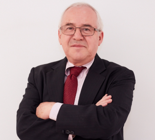 Foto de perfil José Luis Solleiro Rebolledo
