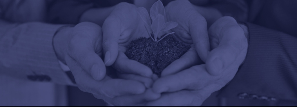 Empresas B.I.C. y Empresas B: Una alternativa con impacto