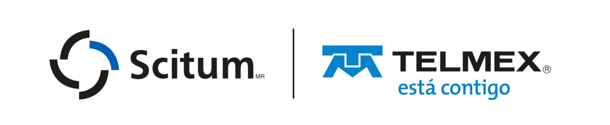 Logo de Scitum