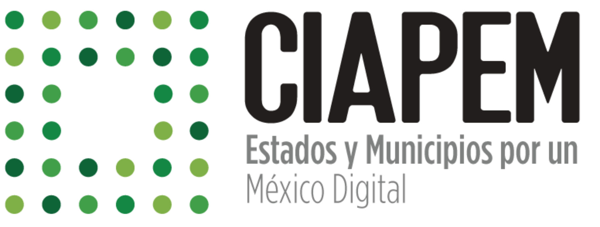 Logo de Comité de Informática de la Administración Pública Estatal y Municipal, A.C.