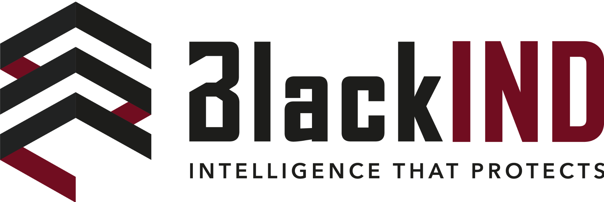 Logo de BlackIND – Intelligence That Protects